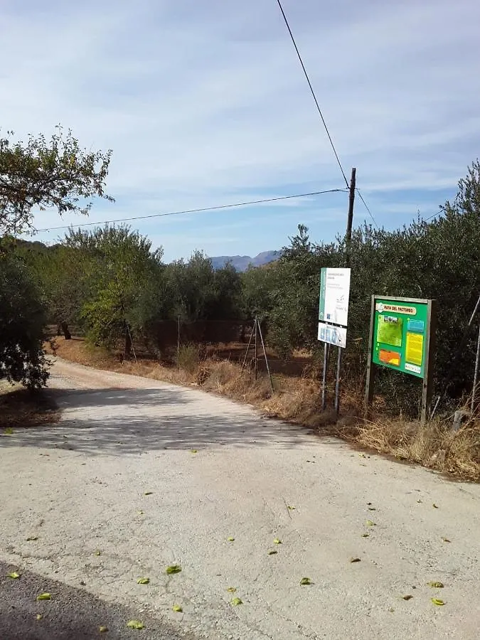 Hacienda La Buena Vida B&B En Appartementen Casita La Bruja Algarinejo