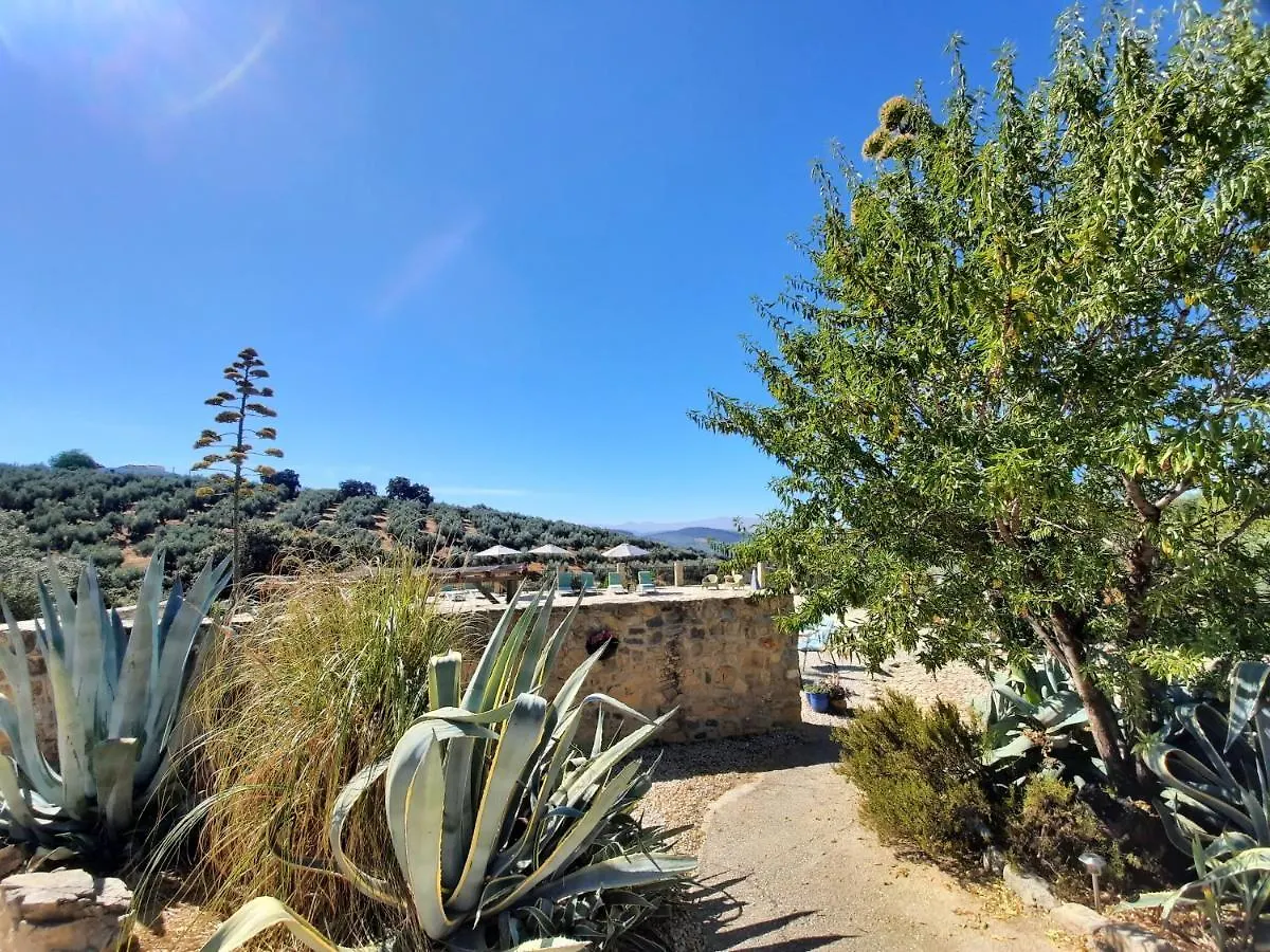 Hacienda La Buena Vida B&B En Appartementen Casita La Bruja Algarinejo Apartment