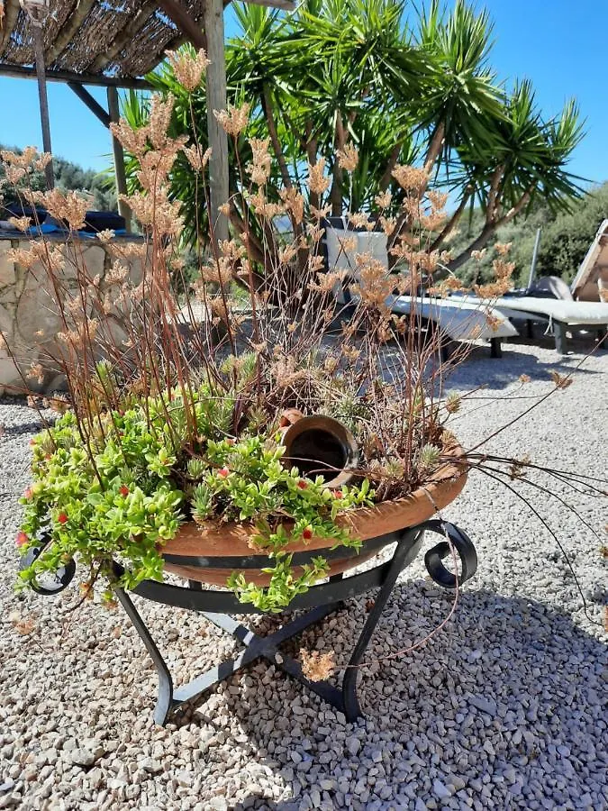 Hacienda La Buena Vida B&B En Appartementen Casita La Bruja Algarinejo 0*,  Spain