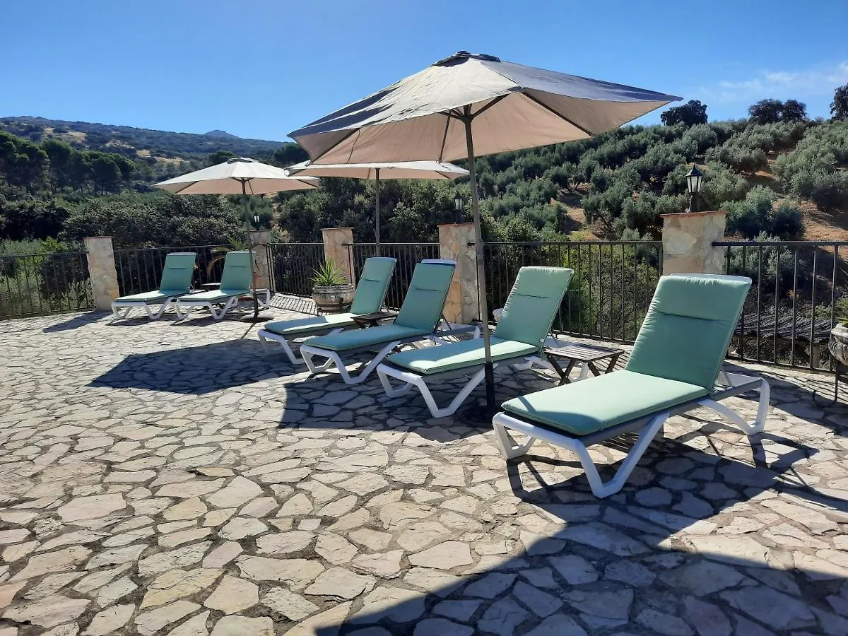 Apartment Hacienda La Buena Vida B&B En Appartementen Casita La Bruja Algarinejo