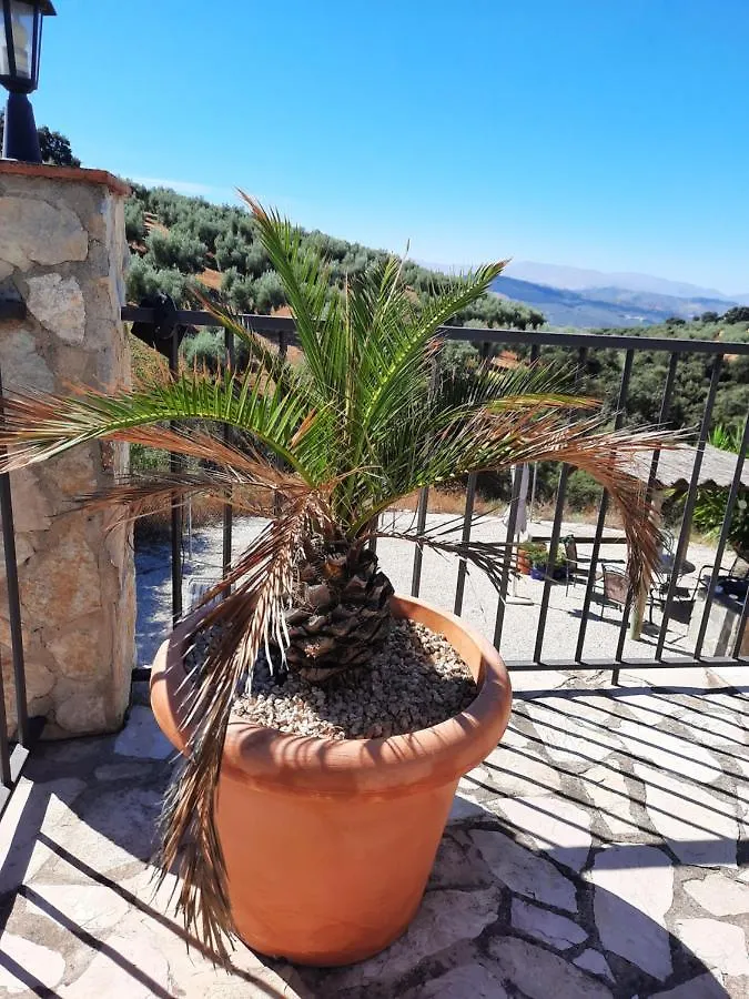 Hacienda La Buena Vida B&B En Appartementen Casita La Bruja Algarinejo