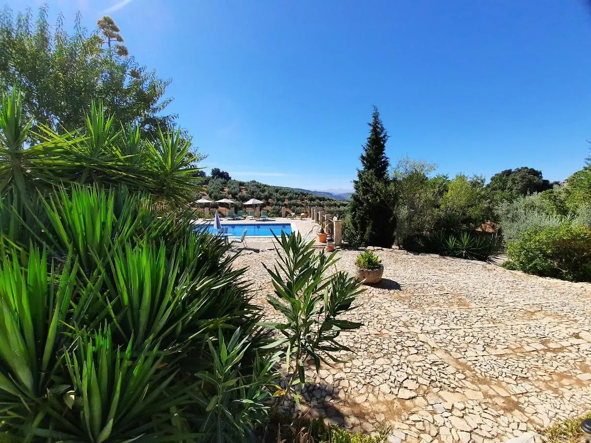 Hacienda La Buena Vida B&B En Appartementen Casita La Bruja Algarinejo